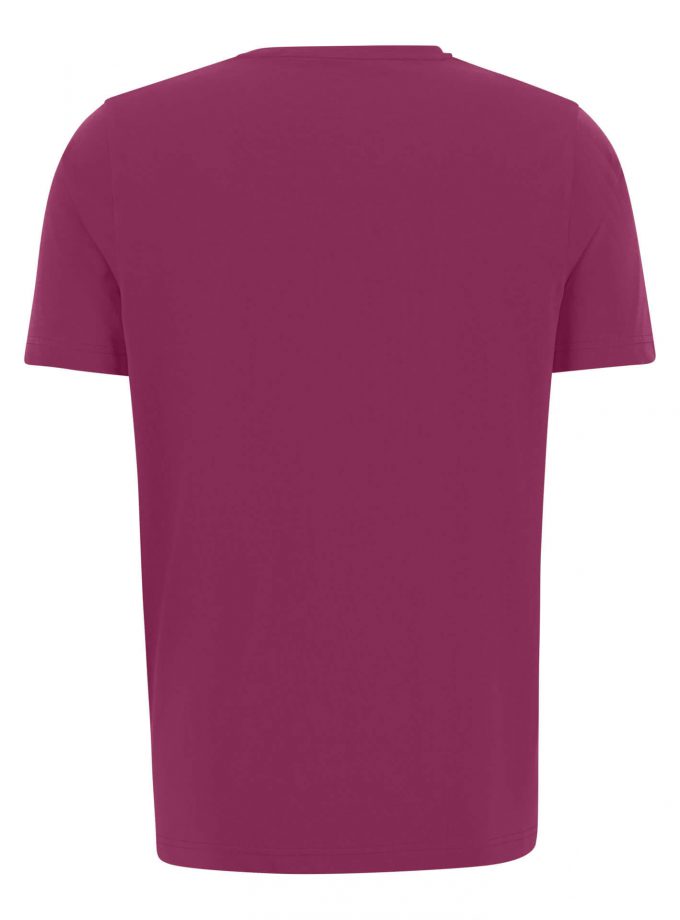 T-Shirt Μπλούζα Fynch Hatton FH23S022 Basic Crocus