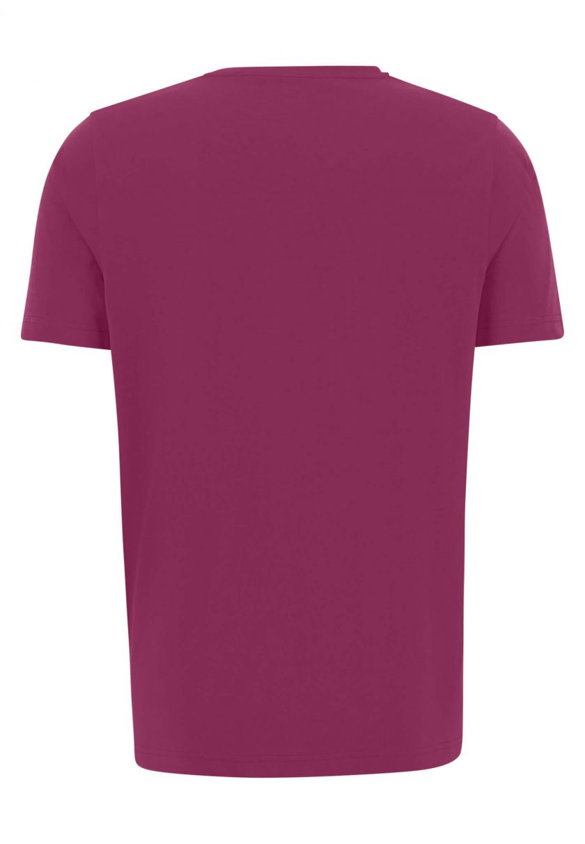 T-Shirt Μπλούζα Fynch Hatton FH23S022 Basic Crocus 2
